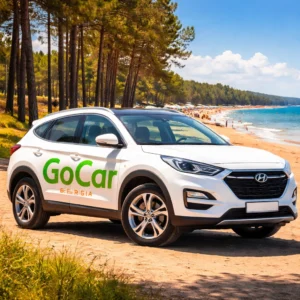 Car Hire Shekvetili No Deposit